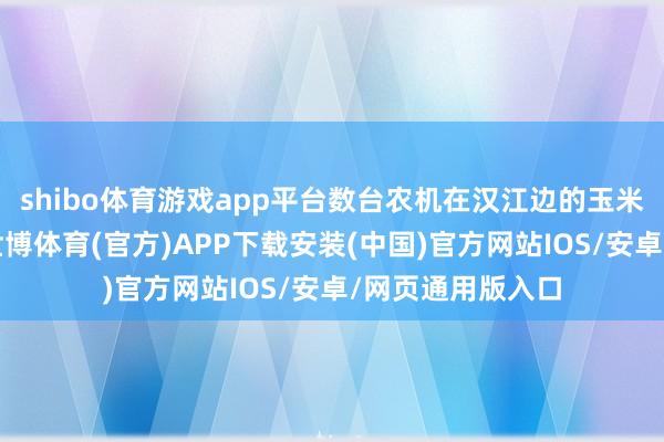 shibo体育游戏app平台数台农机在汉江边的玉米地里穿梭功课-世博体育(官方)APP下载安装(中国)官方网站IOS/安卓/网页通用版入口