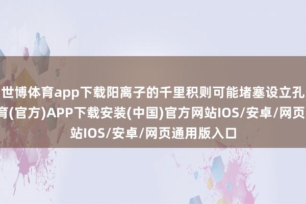 世博体育app下载阳离子的千里积则可能堵塞设立孔谈-世博体育(官方)APP下载安装(中国)官方网站IOS/安卓/网页通用版入口