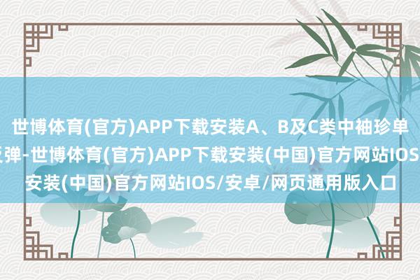 世博体育(官方)APP下载安装A、B及C类中袖珍单元楼价指数按月小幅反弹-世博体育(官方)APP下载安装(中国)官方网站IOS/安卓/网页通用版入口