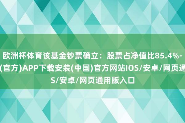 欧洲杯体育该基金钞票确立：股票占净值比85.4%-世博体育(官方)APP下载安装(中国)官方网站IOS/安卓/网页通用版入口